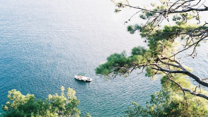 uploaded-image-kahvenin-dunya-ticareti-1698138684849